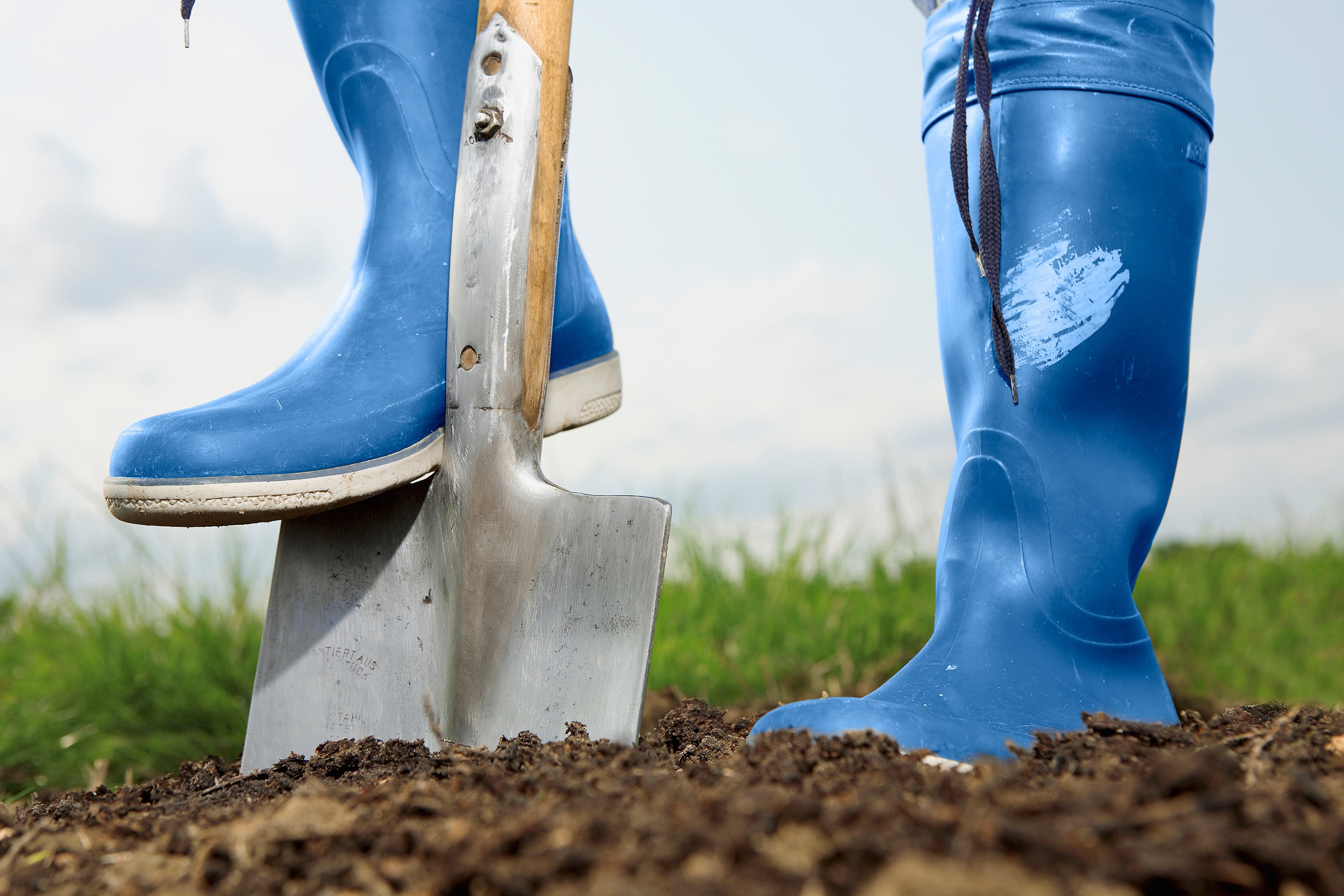 Shovel in the ground